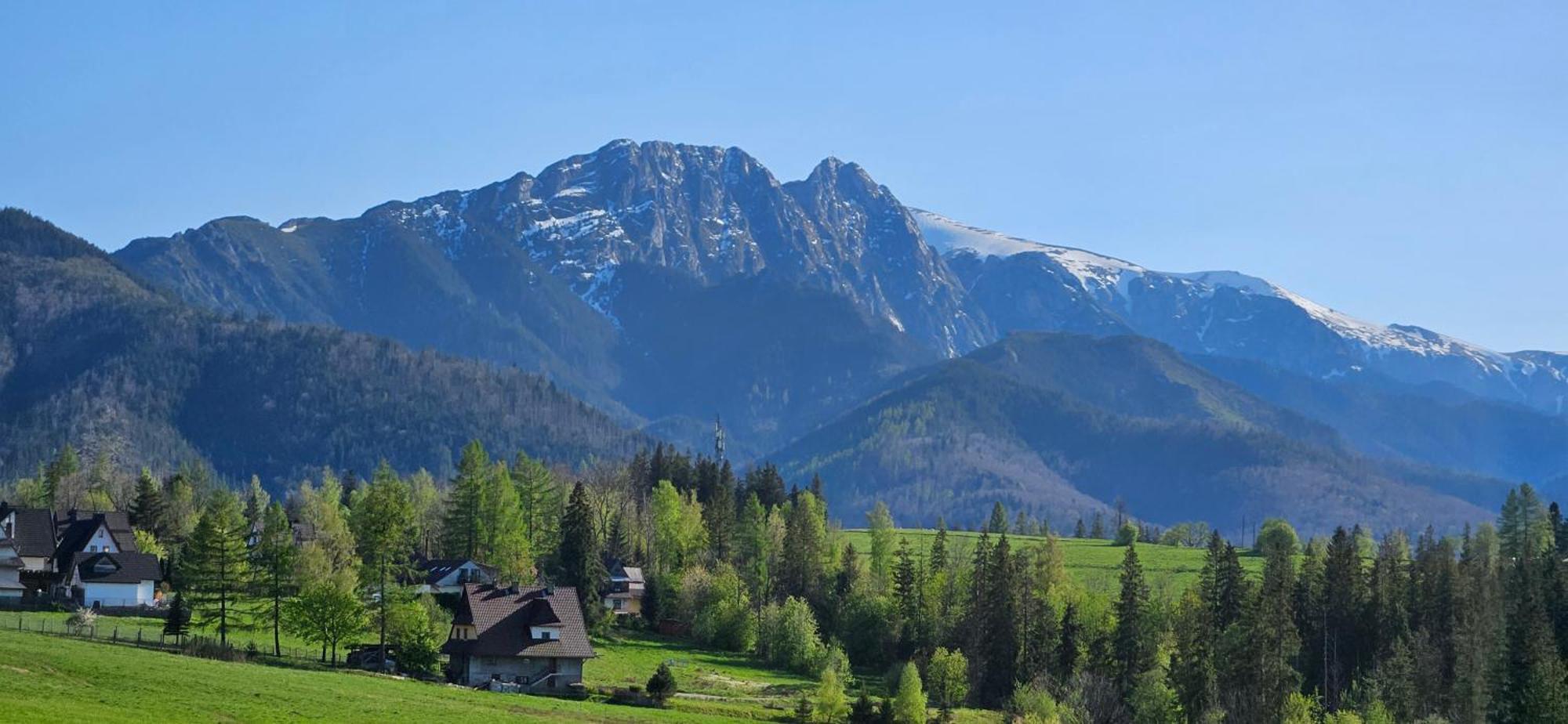 Marol Wynajem Pokoi Daire Zakopane Dış mekan fotoğraf