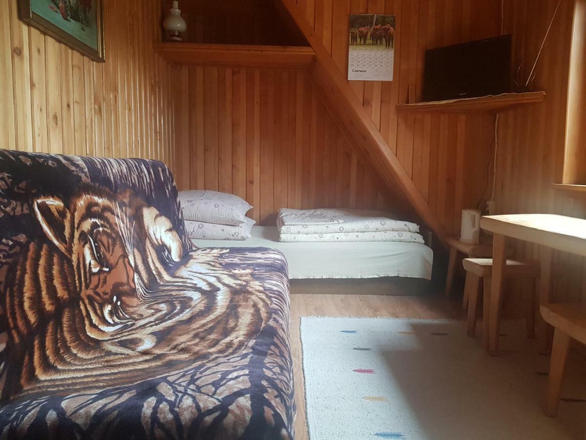Marol Wynajem Pokoi Daire Zakopane Dış mekan fotoğraf